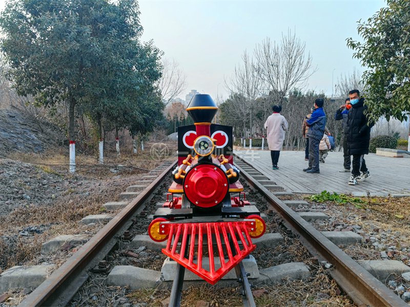 轨道小火车,轨道小火车厂家,轨道小火车价格