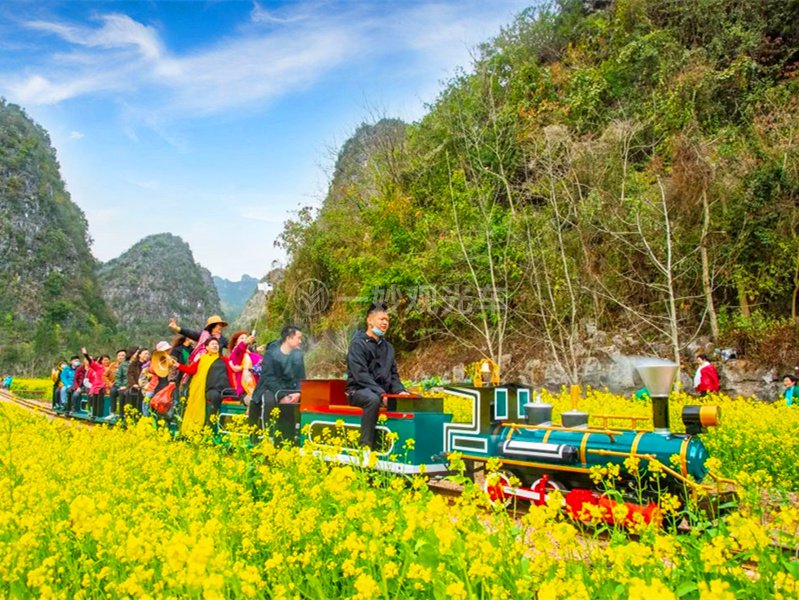 景区小火车,景区小火车厂家,景区小火车价格