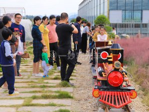 网红迷你小火车,景区网红迷你小火车厂家,旅游网